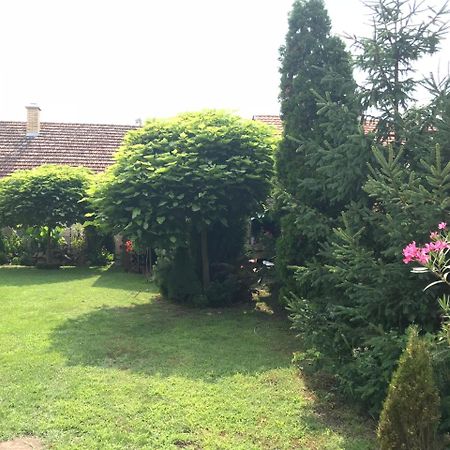 Villa Nirvana Palić Eksteriør billede