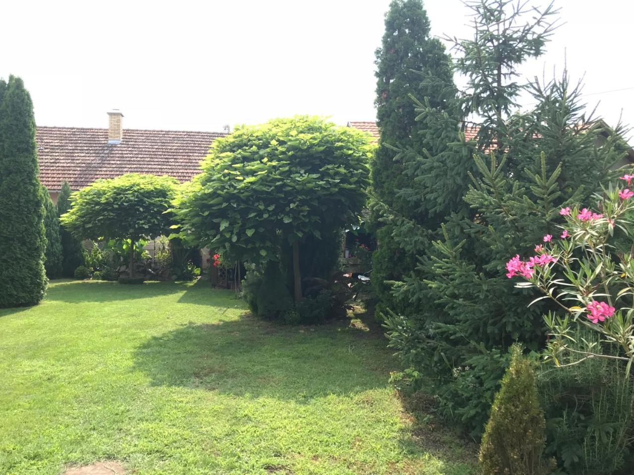 Villa Nirvana Palić Eksteriør billede